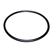 Junta prefiltro bomba Victoria plus AstralPool 4405010178 | Piscicamp