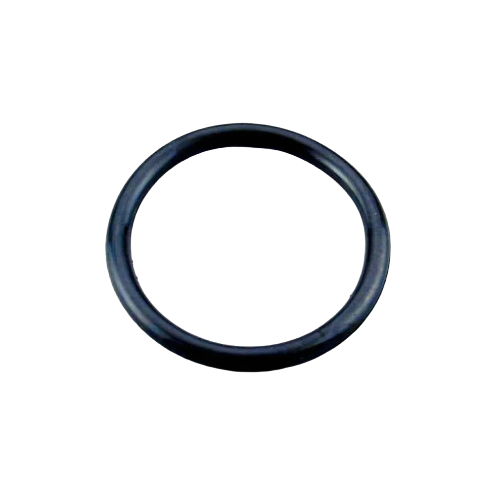 Junta tórica foco proyector AstralPool Junta tórica foco proyector AstralPool