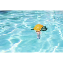 Termómetro Flotante Figuras Piscina | Temperatura Divertido