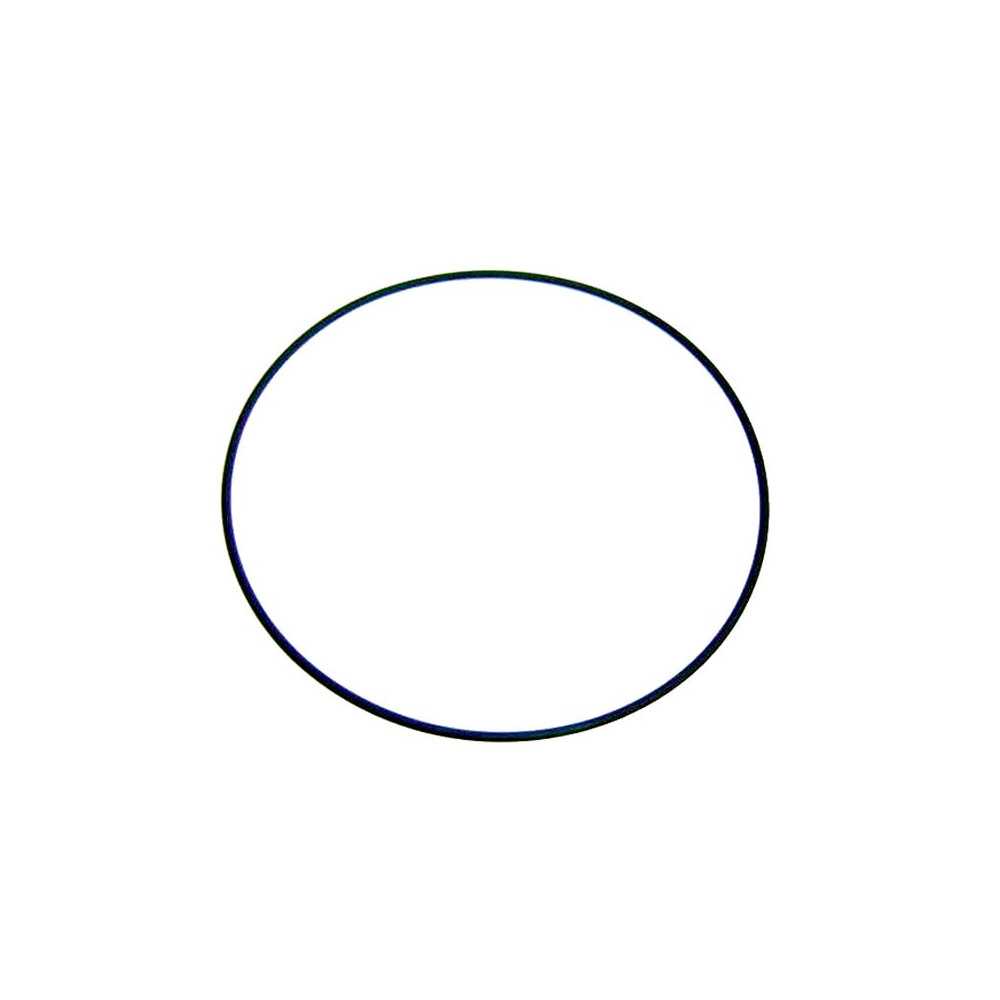 junta aro fijación filtro astralpool 4404260106