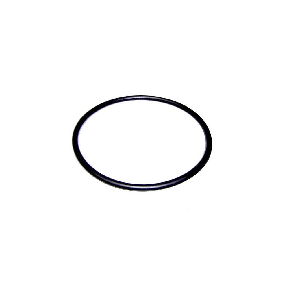 junta prefiltro bomba victoria plus astralpool