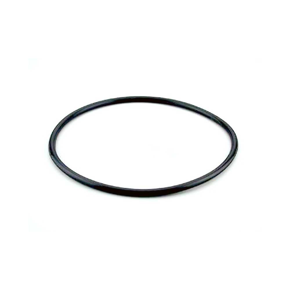 junta tapa filtro berlín astralpool 4404070101