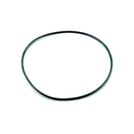 junta tórica 255x4 filtro astralpool 4404020116