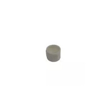 Recambio limpiafondos Dolphin Cojinete cepillo activo