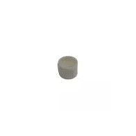 Recambio limpiafondos Dolphin Cojinete cepillo activo