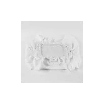 Recambio Dolphin Bolsa filtro ultrafina 9995430-ASSY