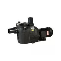 Recambios bomba Hayward RS II | Piscicamp