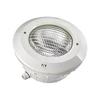 Recambios nicho Astralpool 07838 | Piscicamp