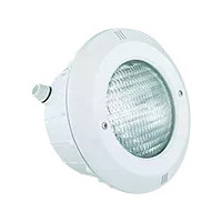 Recambios nicho Astralpool 07852 | Piscicamp